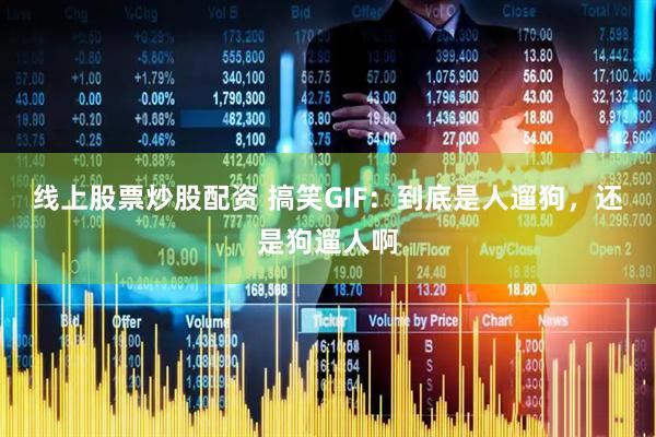 线上股票炒股配资 搞笑GIF：到底是人遛狗，还是狗遛人啊